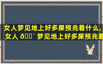 女人梦见地上好多屎预兆着什么,女人 🐴 梦见地上好多屎预兆着什么周公解梦